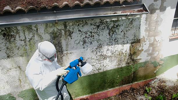 Top rated local Bathroom Mold Removal specialists in McVeytown, PA